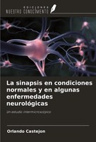 Orlando Castejon | La Sinapsis En Condiciones Normales Y En Algunas...