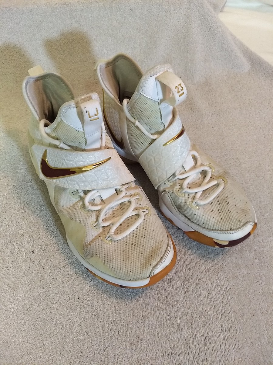 Nike Mens LeBron 14 ‘White Wine’ Shoes (852405-104), Size: #MT 1+9