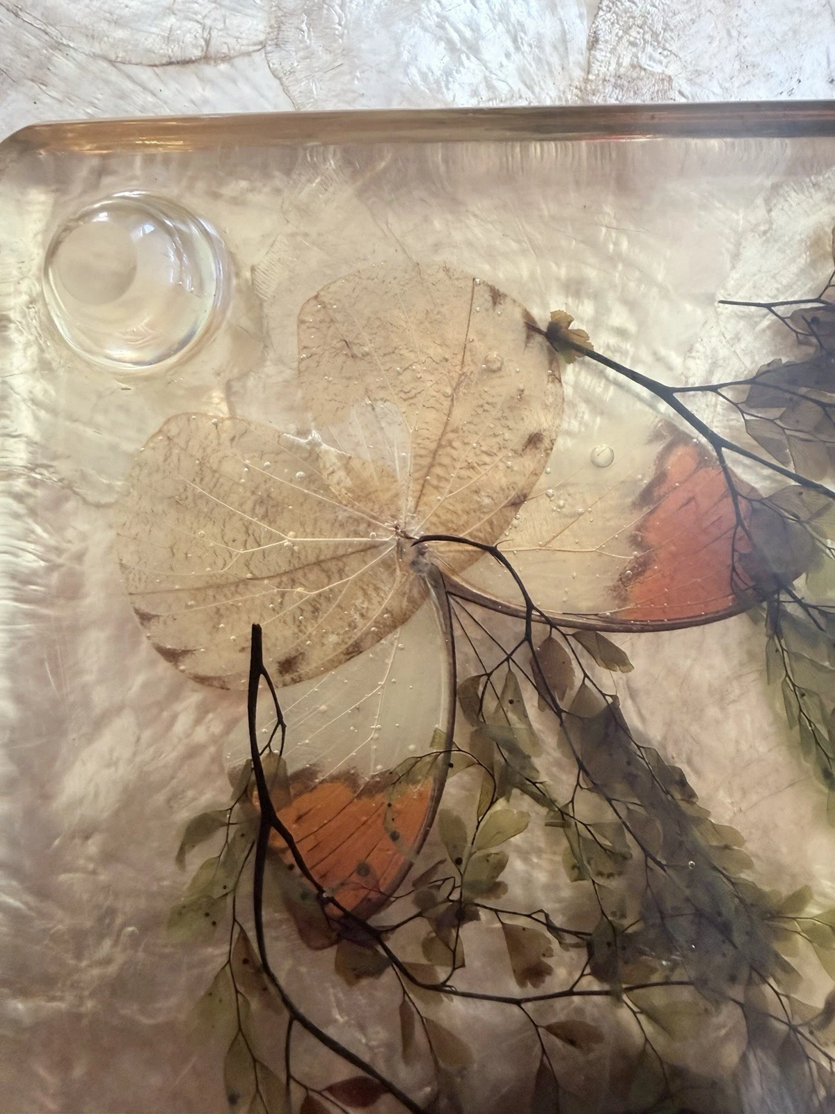 Vintage Lucite Resin Butterfly Fern Specimen Trivet Display 8in MCM Decor - product detail image 6