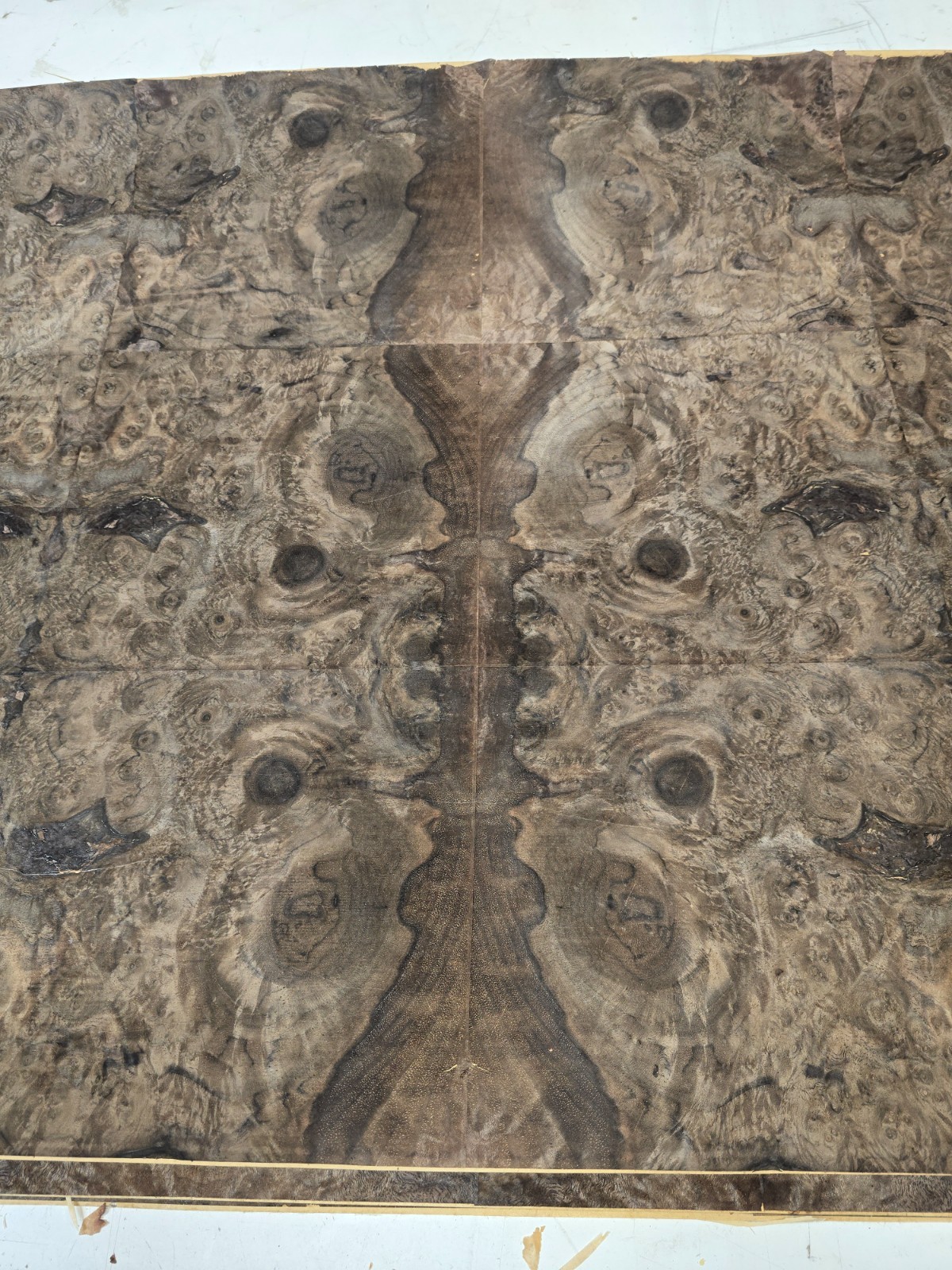 natural walnut burl wood veneer 96 x 24, pattern 5