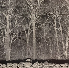 Pile (2) - Sunshine and Balance Beams (PURPLE VINYL) - ALT/INDIE *SEALED/COLOR*