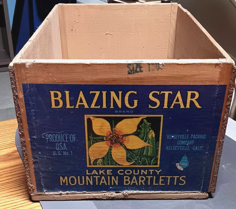 Vintage BLAZING STAR Lake Co Mountain Bartletts CRATE Kelseyville CA PAPER LABEL