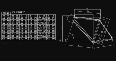 Bianchi Via Nirone 7 Claris 2x8 speed . 53cm. New. | eBay