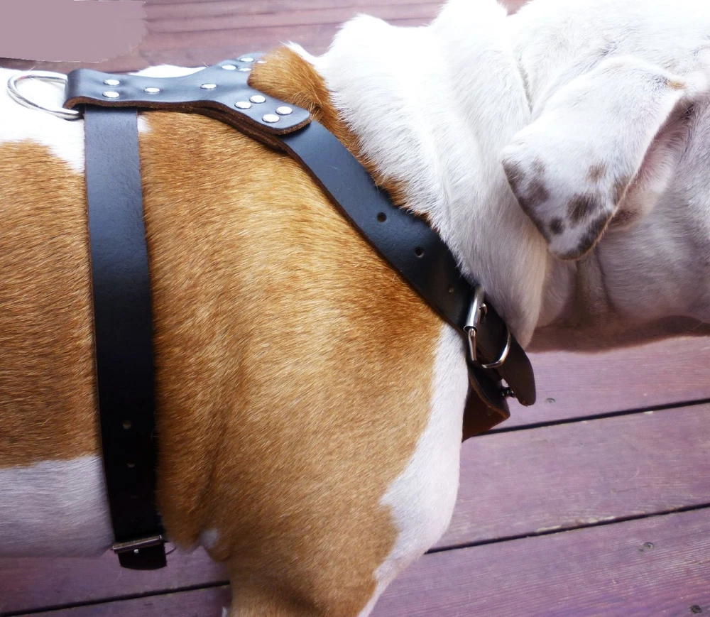 Dog Harness Spiked Studded PU Leather Pitbull Mastiff Boxer Bully Chest 26~34"