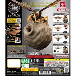 The Diversity de la vie sur Terre Potter Wasp Action Figure Bandai Capsule Toy