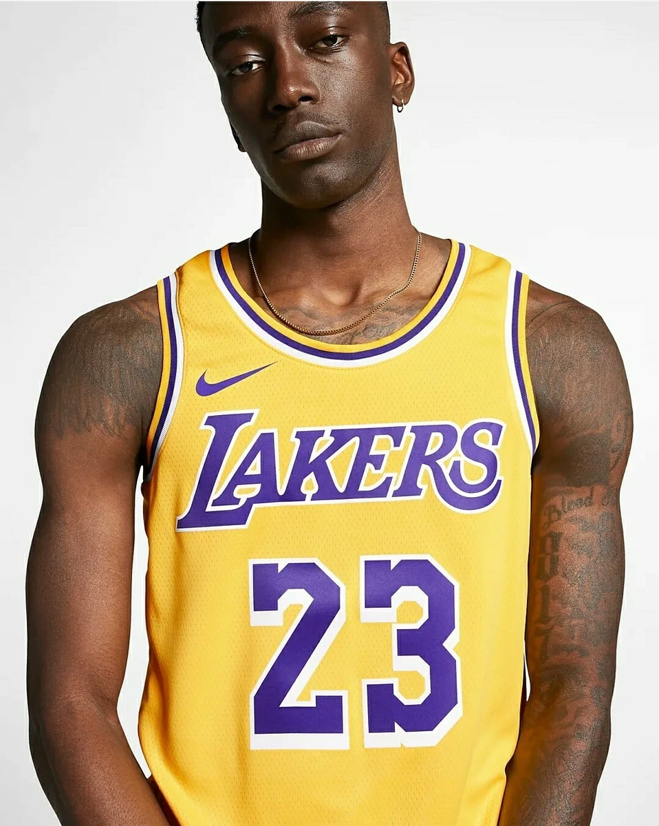 Nike LeBron James Icon Edition Swingman Jersey (Los Angeles Lakers) S