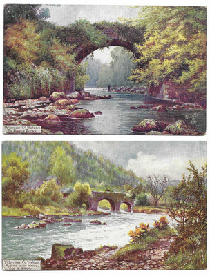 2 Tucks The Emerald Isle Postcards of County Dublin Ireland - Bridges