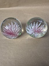 2 x Glass Paperweight with pink sea anemone inside