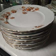 Set of 12 Mitterteich Bavaria NORWAY ROSE German Gold Plated Edge Dinner Plates 