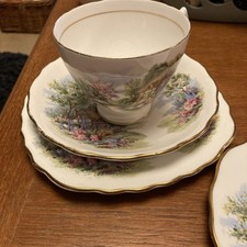 Vintage Royal Vale bone china English Country cottage garden tea trio + plate
