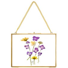Hanging Pressed Flower Frame Handmade, Double Glass Picture Frame Floater fra...