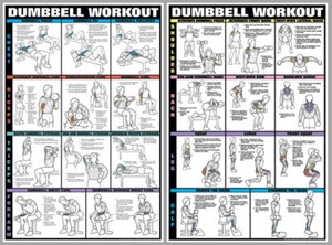 Dumbbell Weight Training Chart