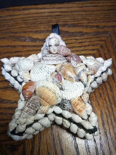 Stern Schmuckschatulle aus Muscheln - Bild 1 von 8