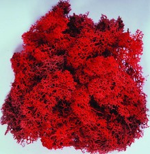 Red Reindeer Moss preserved for lining craft flower hanging basket decoration