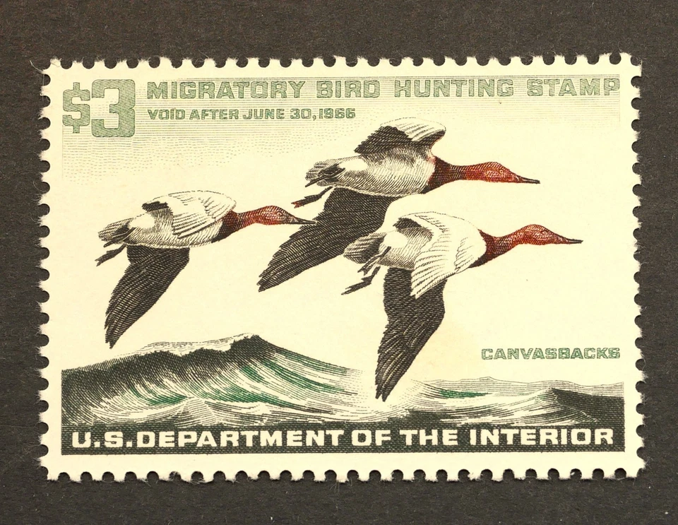 RW32 Federal Duck Hunting Stamps Certified Grade F 70 MNH, OG, 1965 - Image 2 of 4