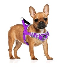 ADVENTUREMORE Dog Harness for Small Dogs No Pull, Dog Halter Harness Adjustab...