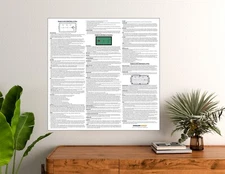 Billiard Table Rules Poster for Your Pool Table - 8 Ball 9 Ball & Snooker -LARGE