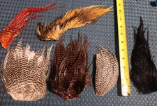 Premium Fly Tying Rooster Hackle Patches-Assorted Colors and Sizes-Grt. Value-NR