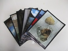 7X Leica Fotografie 1981 Issues Magazines, Clean and Complete