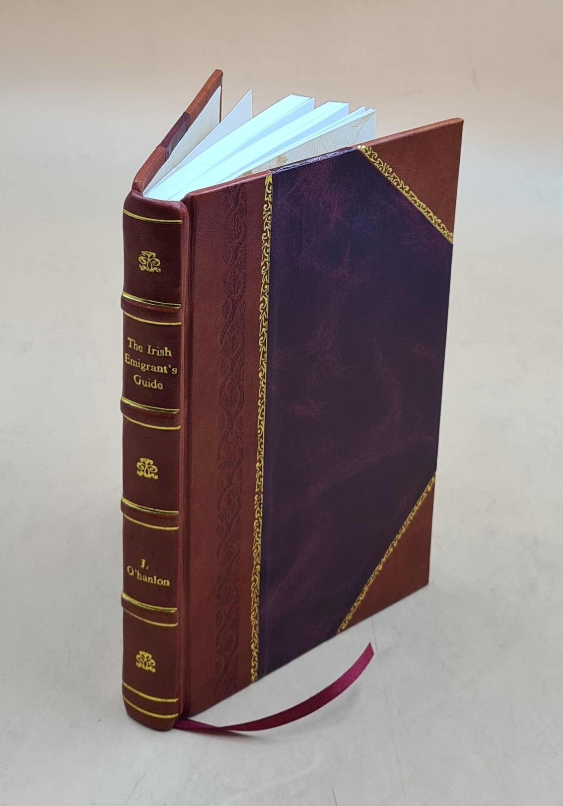 Irish Emigrant's Guide to the United States by Rev. J. O'Leary - Leather Bound Edition