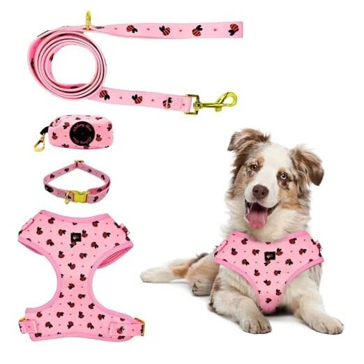 Dog Harness Set No-Pull, Step-in, Soft & Adjustable Matching Large Pink