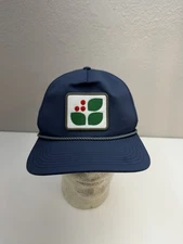 Legacy Snapback Hat Unknown Logo Blue Adjustable