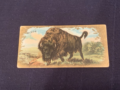 1890 Tobacco Card Kinney Cigarettes N216 Animals Series Bison