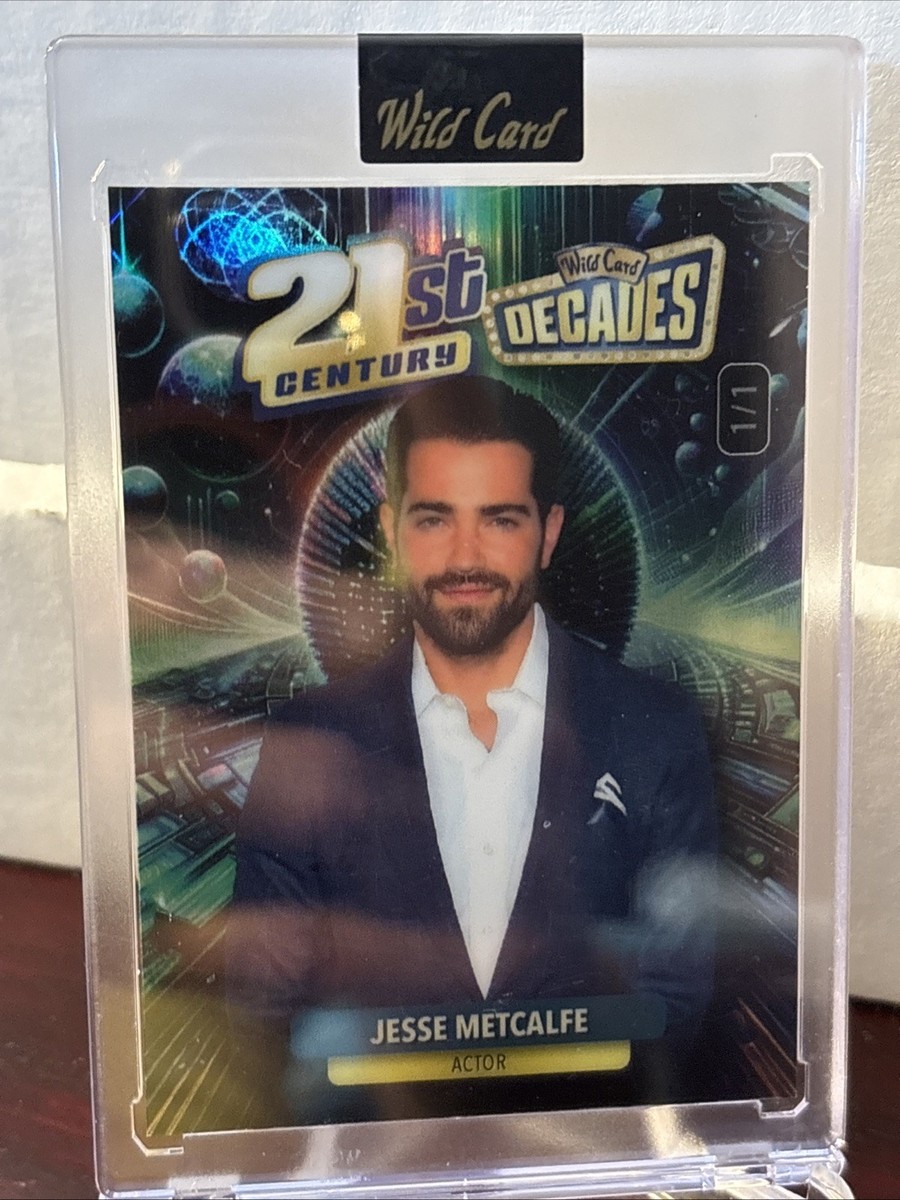 【希少】The Willard WILL THE WILLARD、歴史的名盤1stのアナログLPが発売40周年を記念して