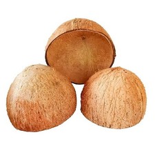 Natural Coconut Shell Halves