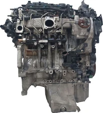 Motor für Ford Transit B460 1,5 EcoBlue XXCC C15DSOX GM5Q-6006-DA 88.000km