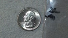 1934 WASHINGTON QUARTER UNCIRCULATED