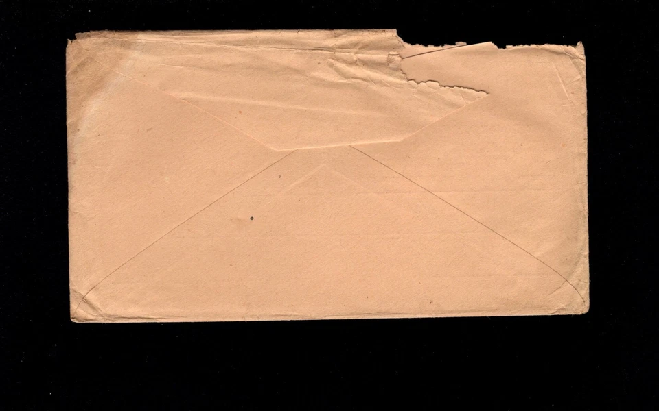 QUACK MEDICINE Dr H Green Dropsy Cure Large Atlanta c1890 PSE Cover 9q - Image 2 of 2