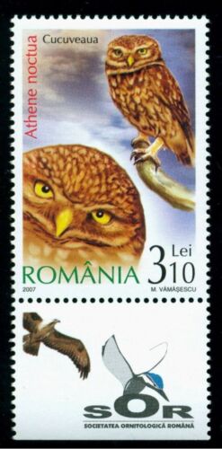 Romania 2007 Birds of prey, the little owl, TAB - Common buzzard, Mi. 6188, MNH - Afbeelding 1 van 1