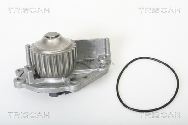 Triscan Wasserpumpe MotorküHlung 8600 17963 FüR Metro Rover 200 100 XP 2 XW 111-image