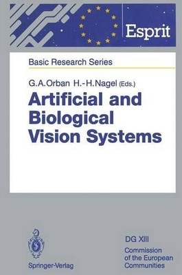Artificial and Biological Vision Systems - 9783642778421
