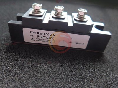 NEW 1PC RM100CZM RM100CZ-M   MODULE #pq