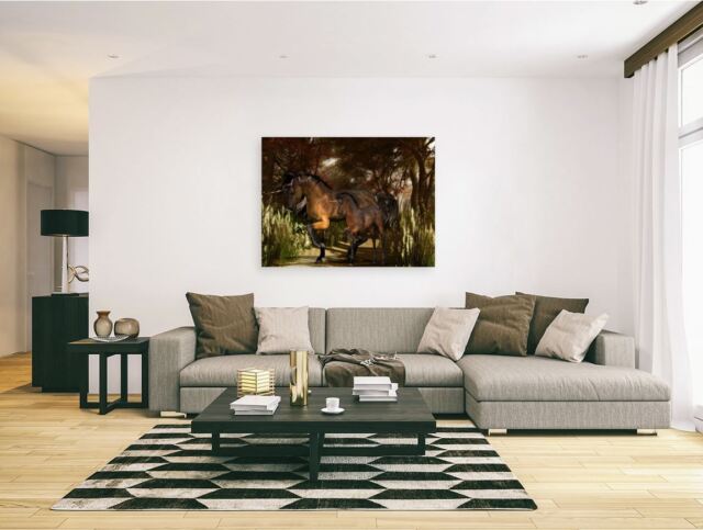 beautiful & colorful animals high quality Canvas painting Home decor beautiful & colorful animals high quality Canvas painting Home decor
