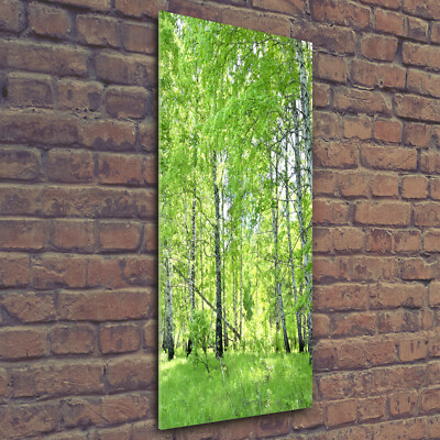 Wandbild Druck auf Plexiglas  Acryl Hochformat 50x125 Birkenwald