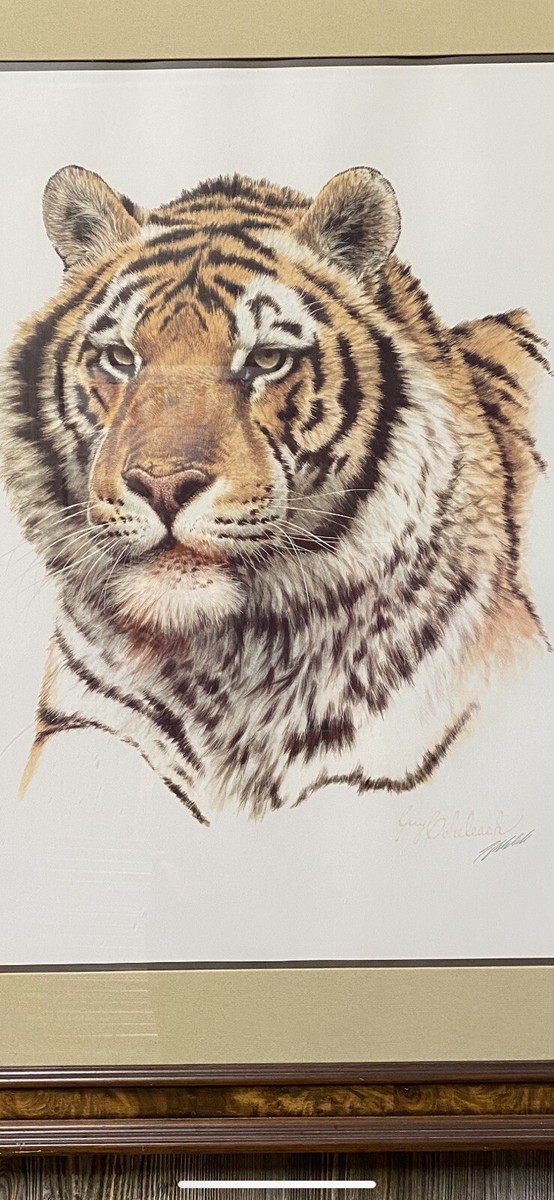 Guy Coheleach SIBERIAN HUNTER トラ ポスター 額縁付き 札幌市 白石区 東札幌 GUY COHELEACH SIBERIAN HUNTER Tiger Framed Print Lithograph Signed