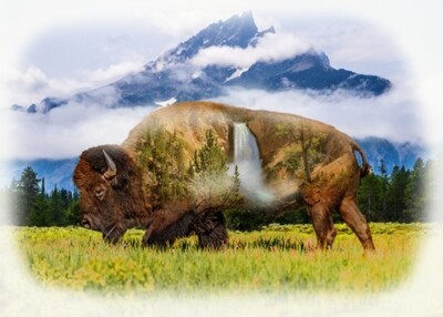 31'' X 44'' Panel Bison Buffalo Mountains Call of the Wild Cotton Fabric D374.82