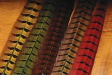 Hareline Dubbin Ringneck Pheasant Tail Feathers