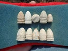 10 Different Various Confederate & Union Civil War Bullets R