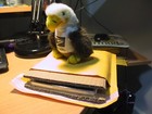 Bild 5 von 5