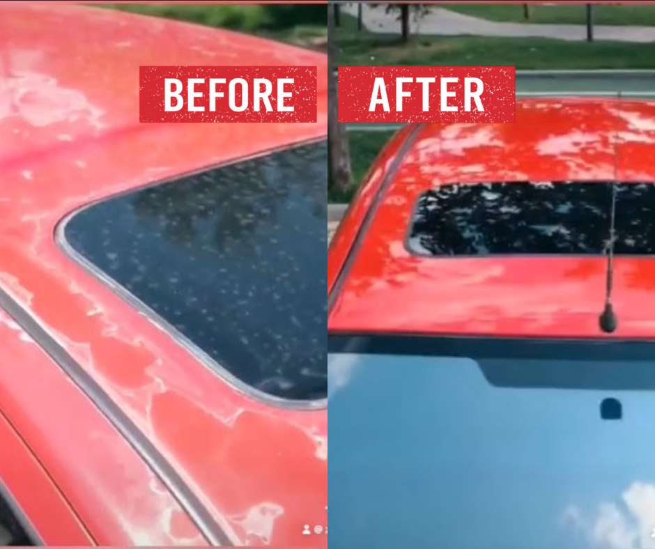 car paint clearcoat sunburn remover 1pc eBay