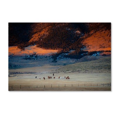 Dan Ballard 'Rusher Ranch' Canvas Art, 22x32