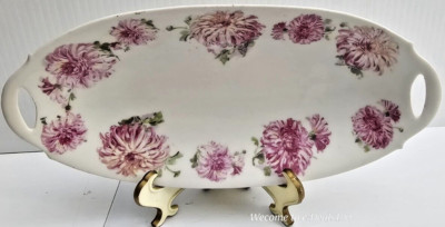 Vintage Hand Painted Porcelain PM Bavaria Celery Dish Moschendorf Factory