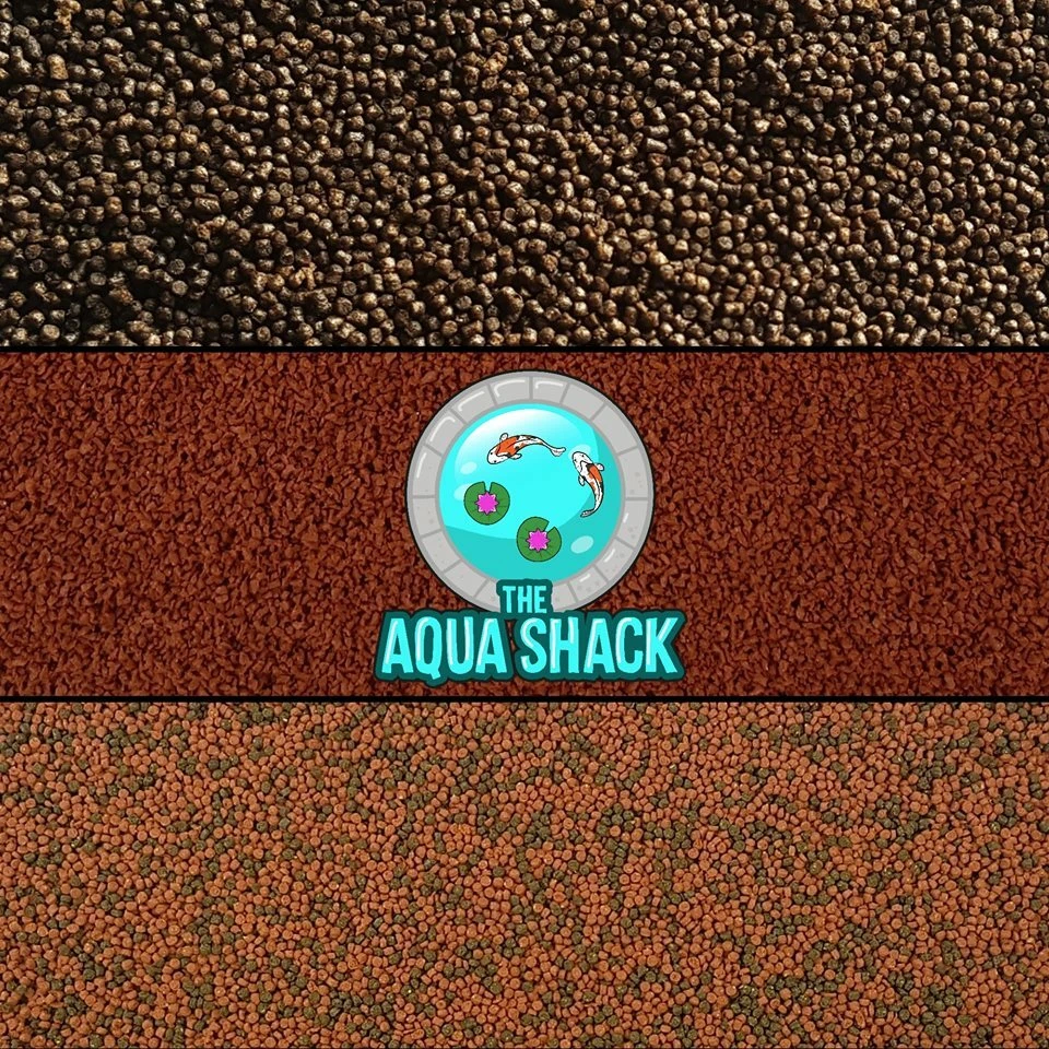 Fancy Goldfish Sinking Foods Anti Swimbladder Growth Colour Gut Health UK BULK