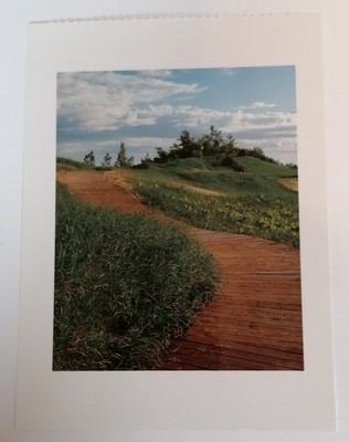 POSTKARTE - 7''X5'' Postkarte Michigan USA Landschaft schlafender Bär Dünen Seeufer