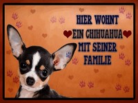 Holzschild 30X40 Cm Hund Hier Wohnt Ein Chihuahua Deko Geschenk Holz Schild