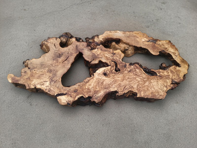 Live Edge Olive Root Slab for DIY and Epoxy Table, Ready to be Resin Table 16x20